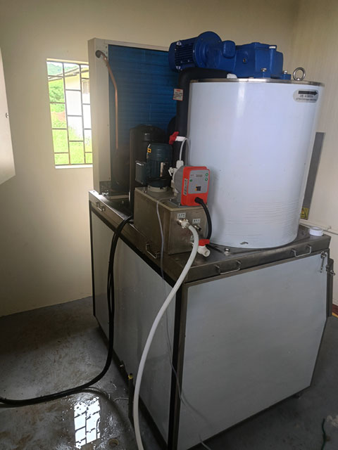 Lee más sobre el artículo Máquinas de hielo